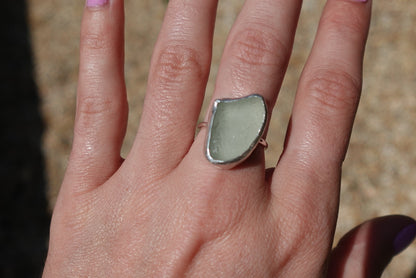 Shell Ring