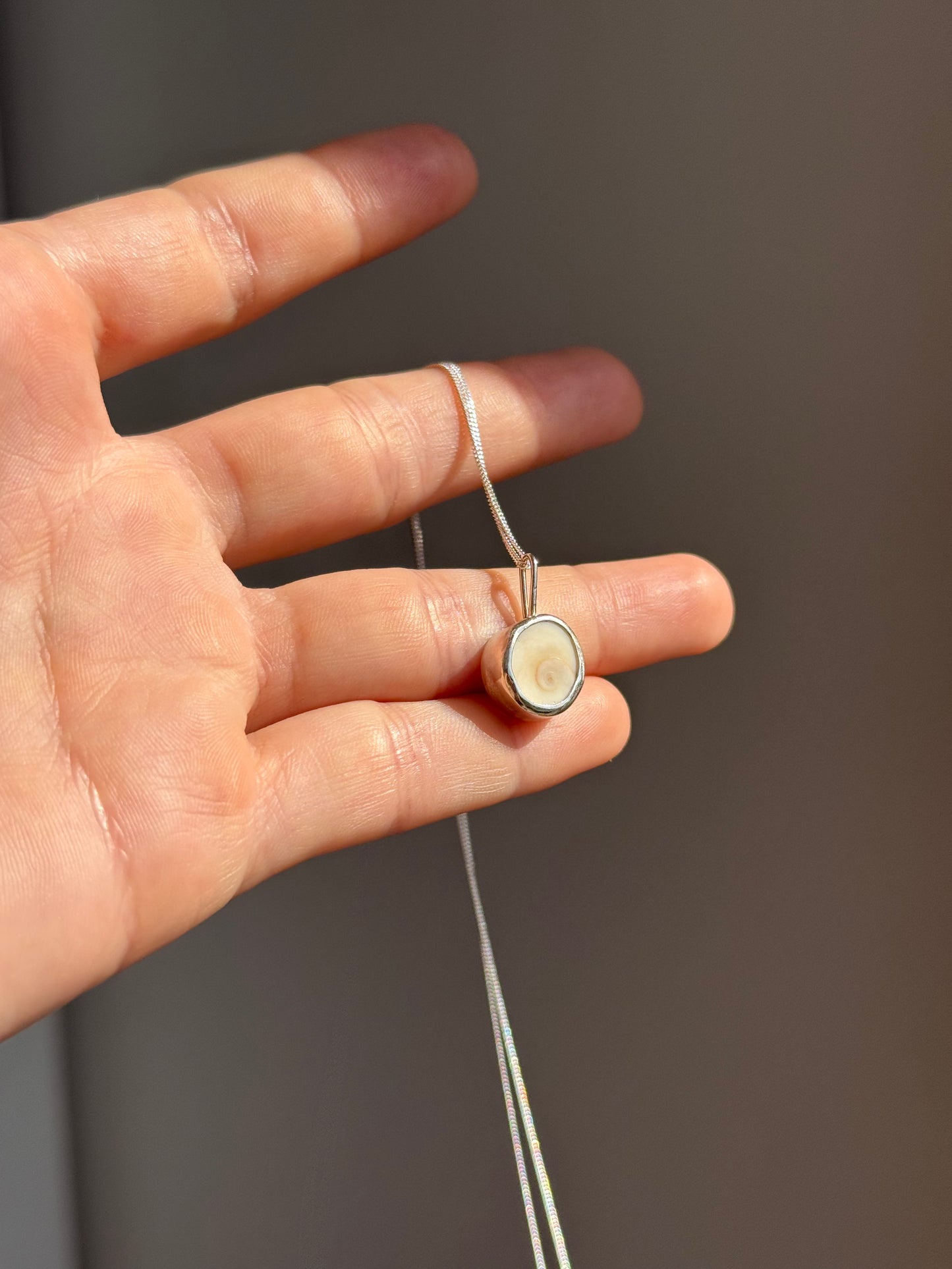 spiral shell necklace