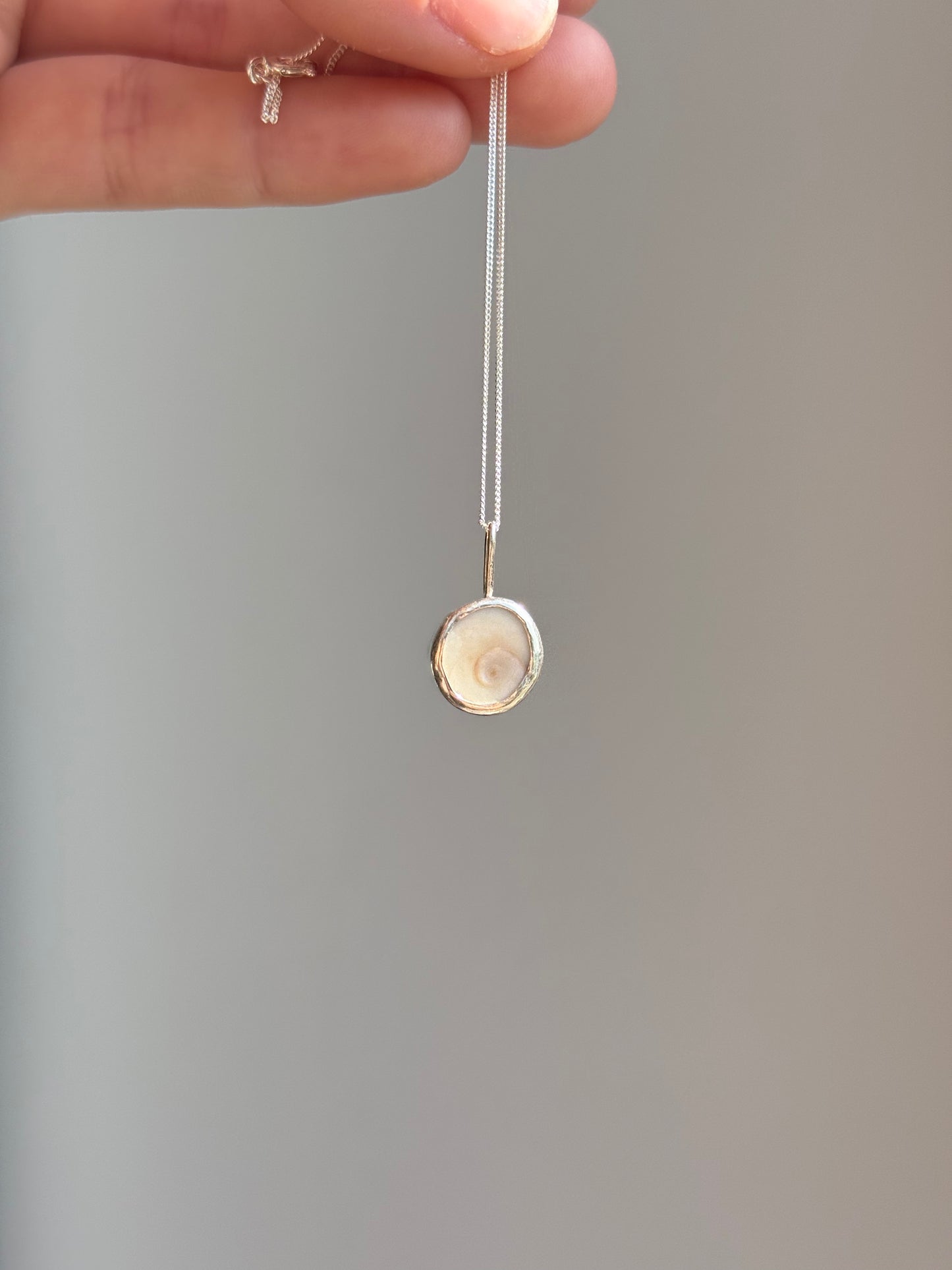 spiral shell necklace