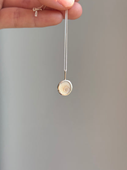 spiral shell necklace