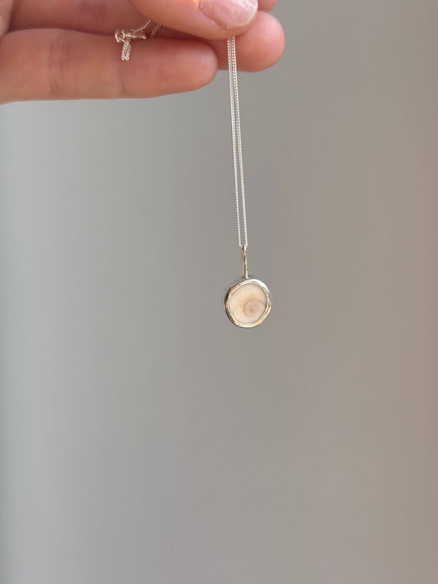 spiral shell necklace