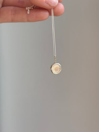 spiral shell necklace